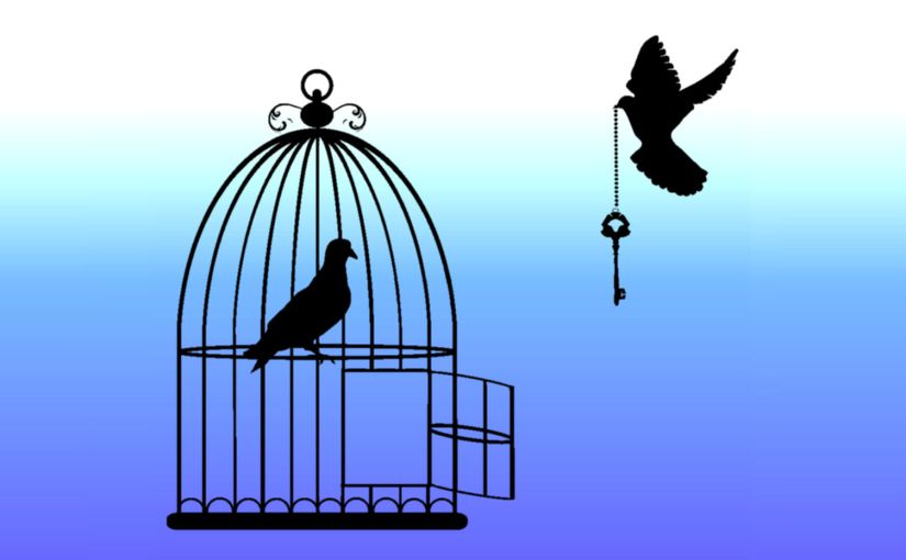 Cos’è l’ “Amico in&nbsp;Affitto”